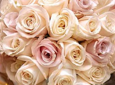 Des roses